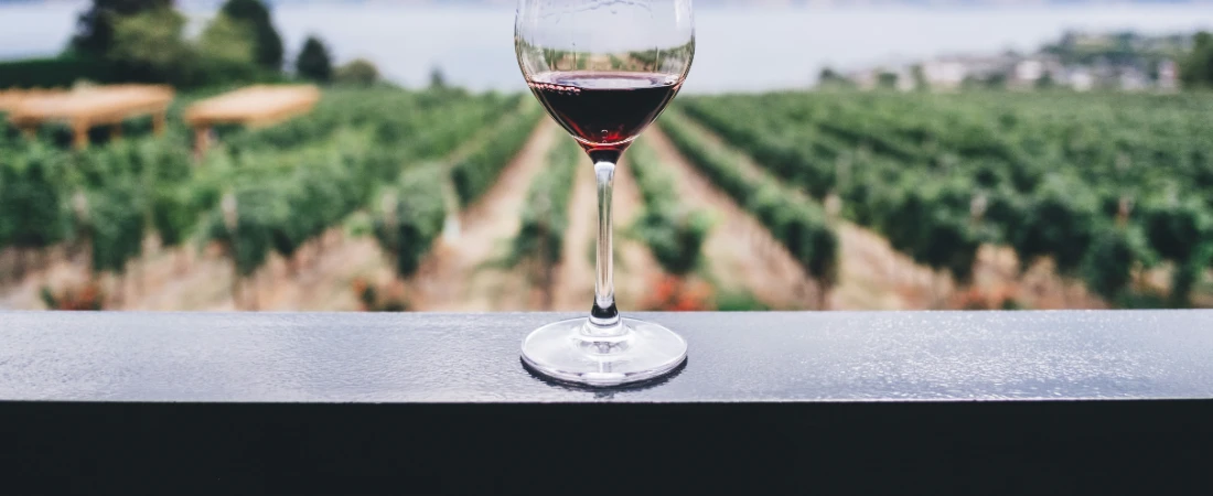 A Breathtaking Journey: Hot Air Balloon Ride Over Napa Valley, California