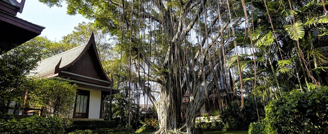 Top 8 Wellness & Spa Resorts in the World for Ultimate Relaxation
